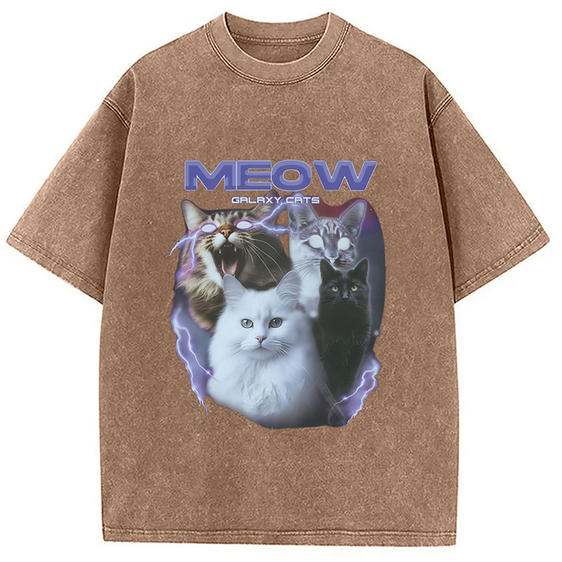 Modecanvas Neow Cat Meme Washed T-Shirt