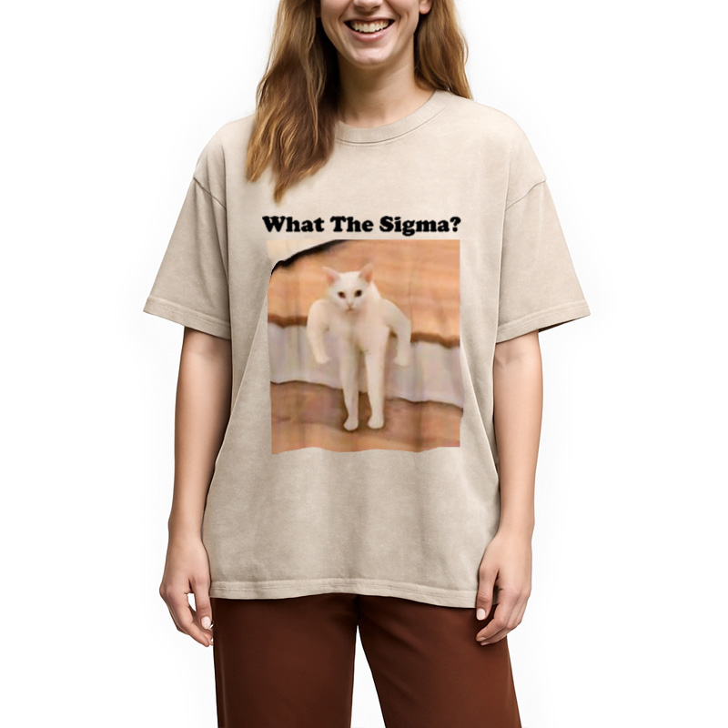Modecanvas What Sigma Cat Meme Washed T-Shirt