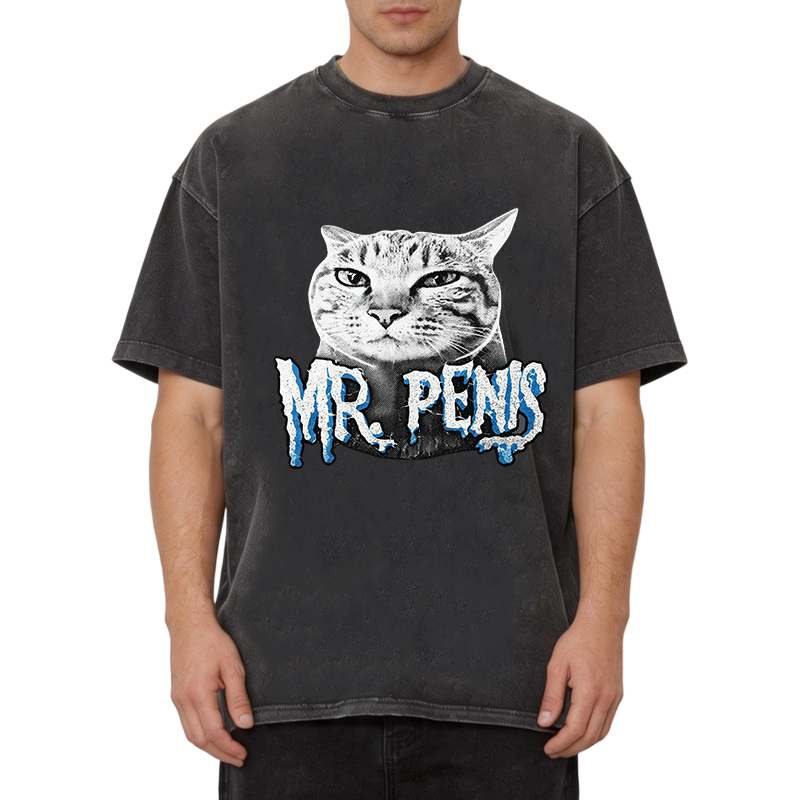 Modecanvas Mr Pen is Cat DTG Printing Washed T-Shirt
