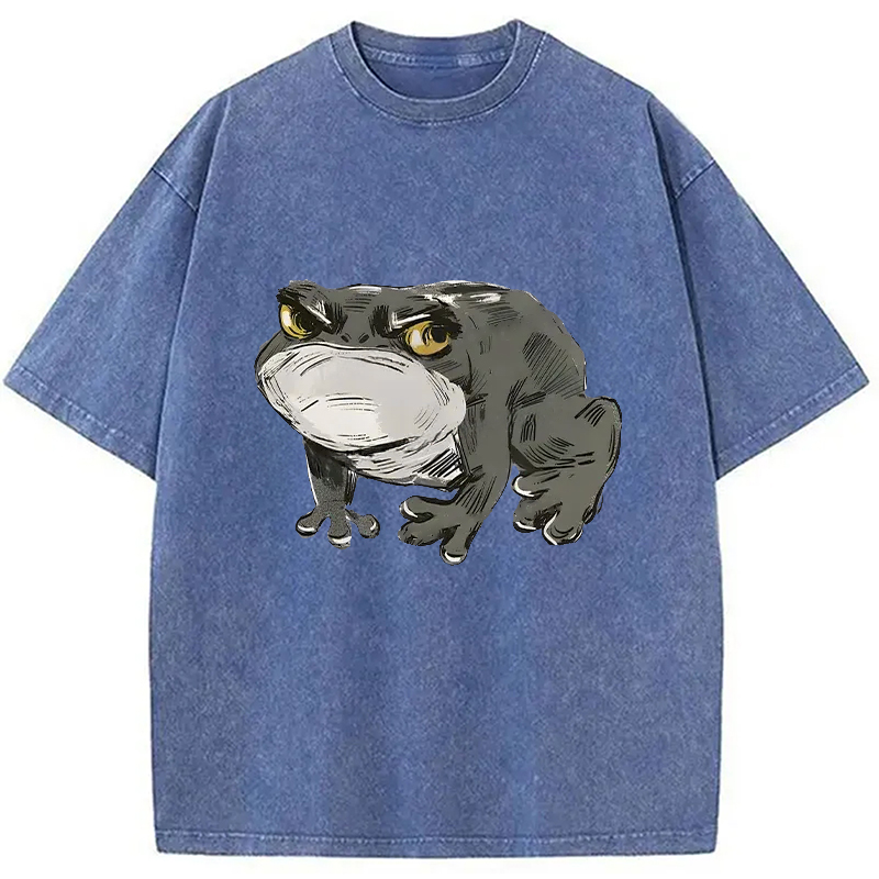 Modecanvas Japanese Frog Retro Washed T-Shirt