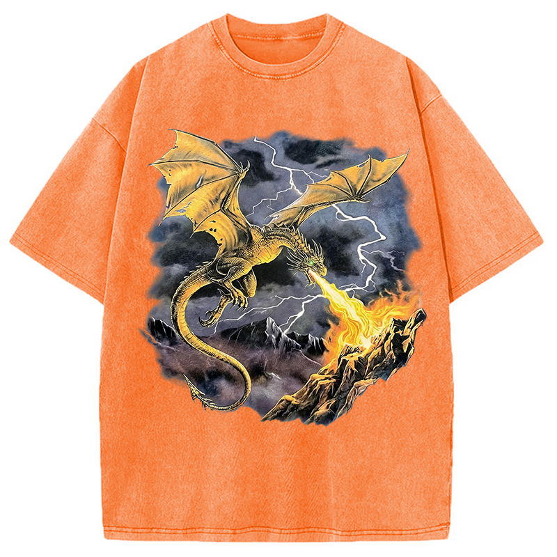 Modecanvas Vintage Dragon DTG Printing Washed T-Shirt