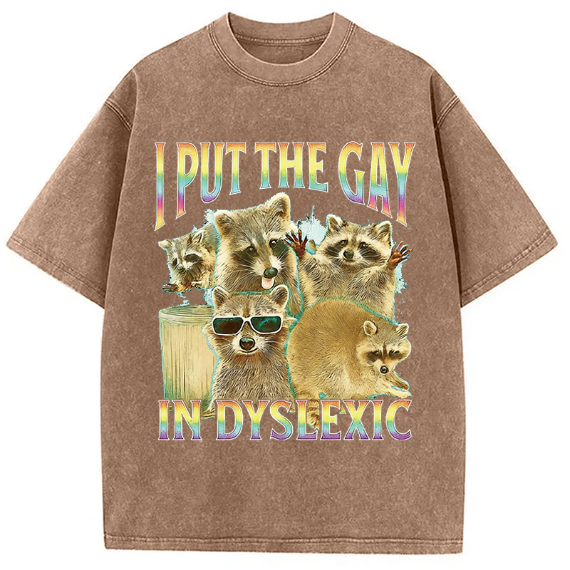 Modecanvas I Put The Gay In Dyslexic Funny Raccoon Meme DTG Printing Washed T-Shirt