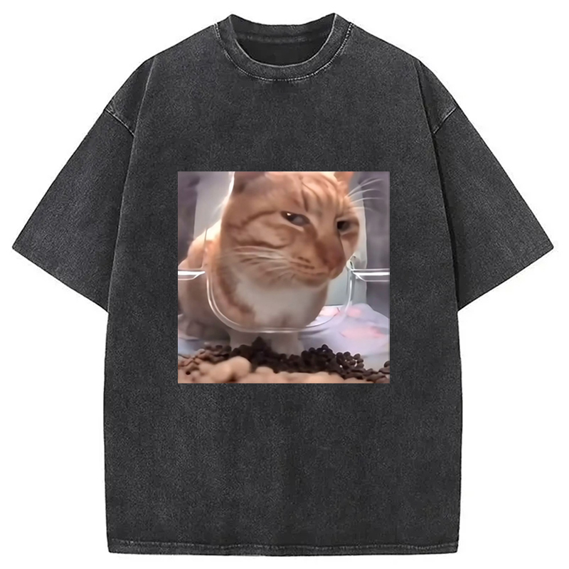Modecanvas Funny Cat Meme Washed T-Shirt