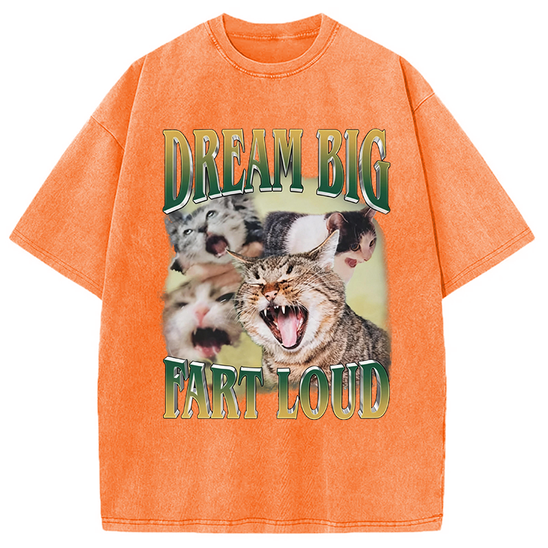Modecanvas Dream Big Fart Loud Funny Cat Meme DTG Printing Washed T-Shirt