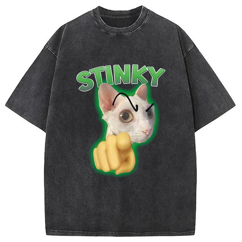 Modecanvas Stinky Funny Cat Meme DTG Printing Washed T-Shirt