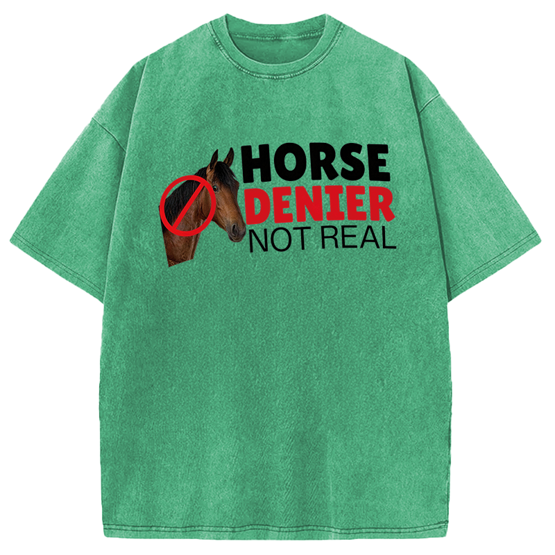 Modecanvas Horse Denier They Are Not Real DTG Printing Washed T-Shirt
