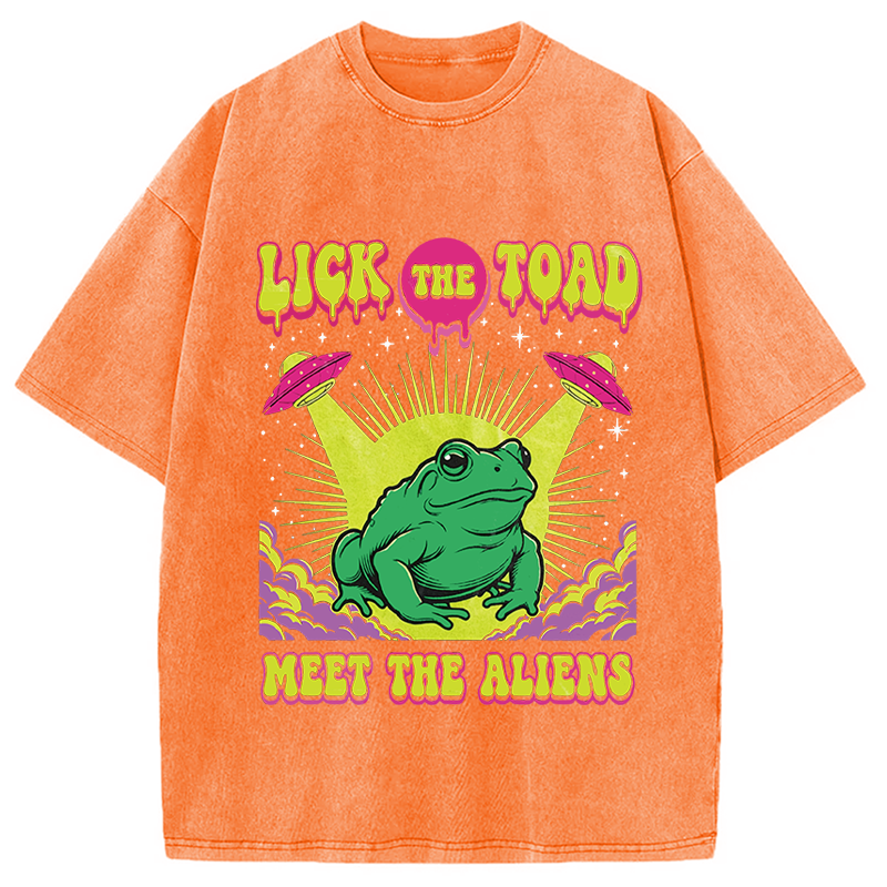 Modecanvas Lick The Toad Frog Meme DTG Printing Washed T-Shirt