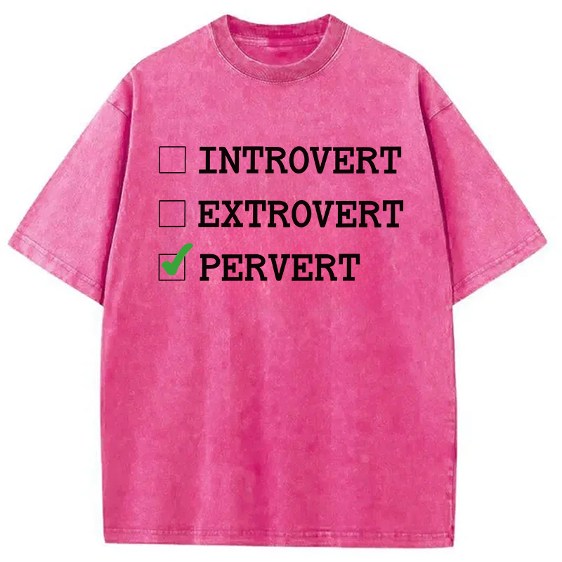 Modecanvas Introvert Extrovert Pervert DTG Printing Washed T-Shirt