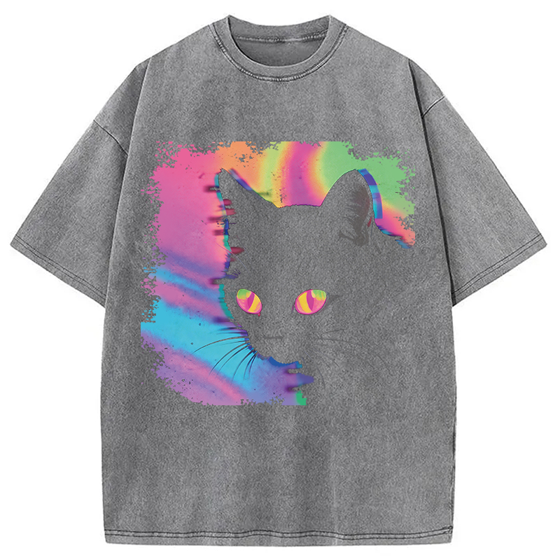 Modecanvas Psychedelic Weirdcore Cat DTG Printing Washed T-Shirt-modecanvas