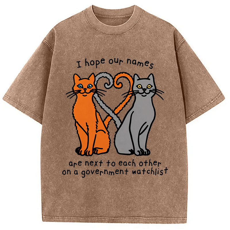 Modecanvas I Hope Our Names Are Next To Each Other Cat Meme DTG Printing Washed T-Shirt