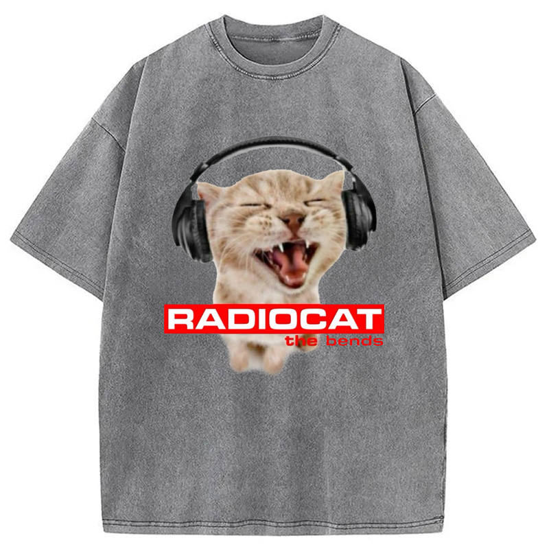 Modecanvas Radiocat The Bends Washed T-Shirt