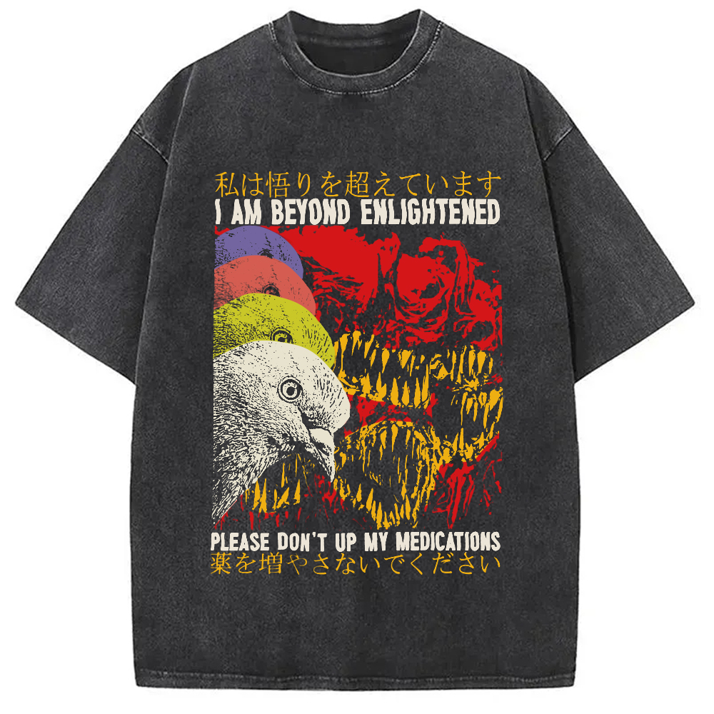 Modecanvas Beyond Enlightened Vintage Pigeon Washed T-Shirt
