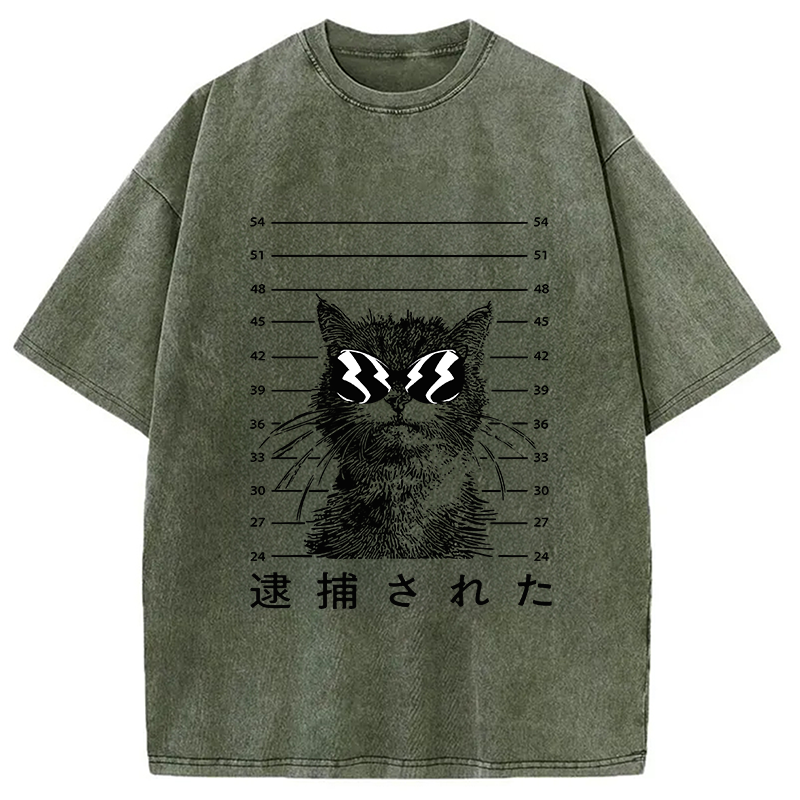 Modecanvas Cat Was Arrested  Washed T-Shirt