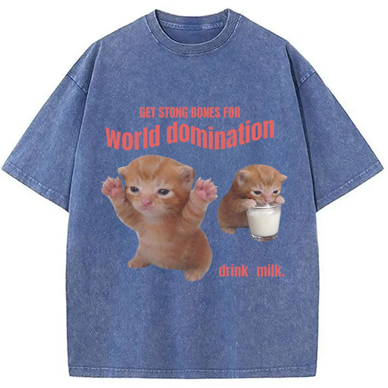 Modecanvas World Domination Cat Meme DTG Printing Washed T-Shirt