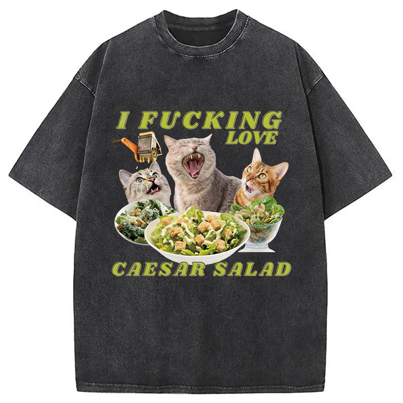 Modecanvas I Fucking Love Caesar Salad Cat Meme DTG Printing Washed T-Shirt