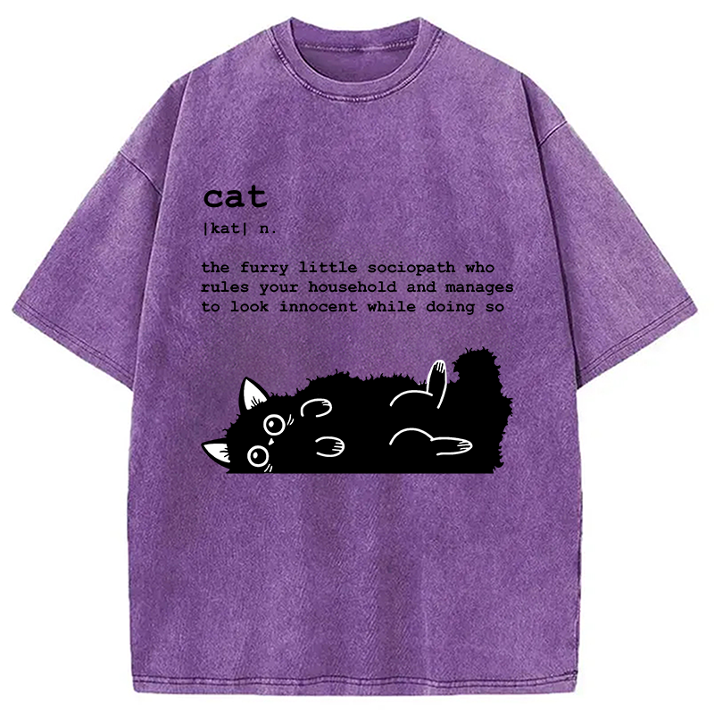 Modecanvas Definition Of Cat Funny Washed T-Shirt