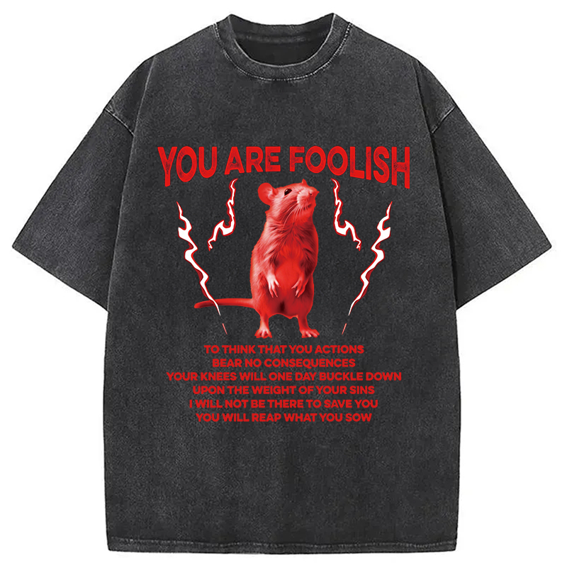 Modecanvas You Are Foolish Rat DTG Printing Washed T-Shirt