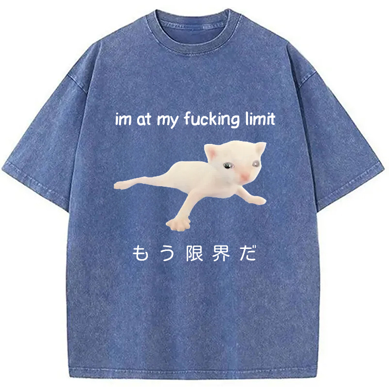 Modecanvas Cat Reaching Its Limit Washed T-Shirt-modecanvas