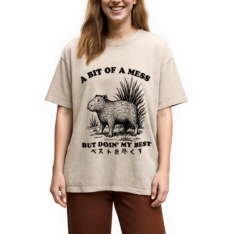 Modecanvas Capybara Doing Its Best Washed T-Shirt