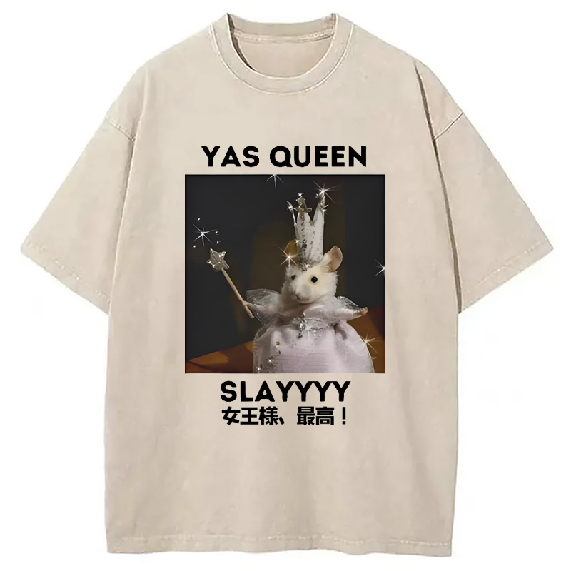 Modecanvas Yasss Queen Slay Meme Washed T-Shirt