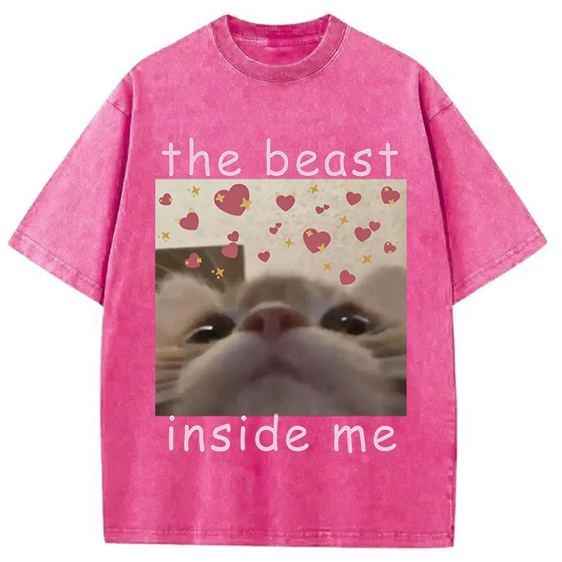 Modecanvas The beast inside me Cat Meme DTG Printing Washed T-Shirt