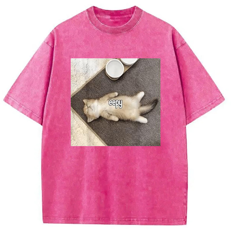 Modecanvas Eepy Funny Cat Meme Washed T-Shirt