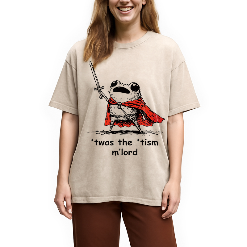 Modecanvas Twas The Tism M Lord Meme DTG Printing Washed T-Shirt
