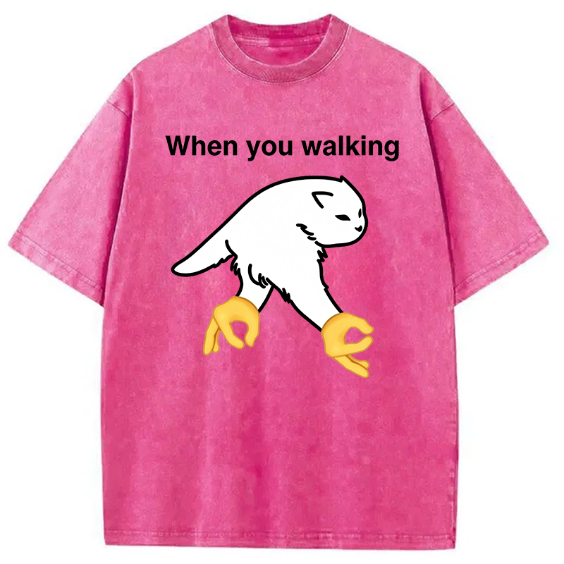 Modecanvas When You Walking Cursed Cat Meme DTG Printing Washed T-Shirt