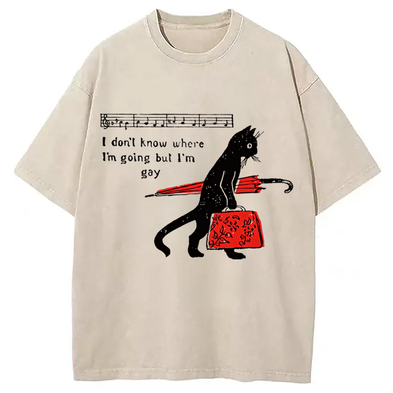 Modecanvas Funky Gay Pride Meme DTG Printing Washed T-Shirt