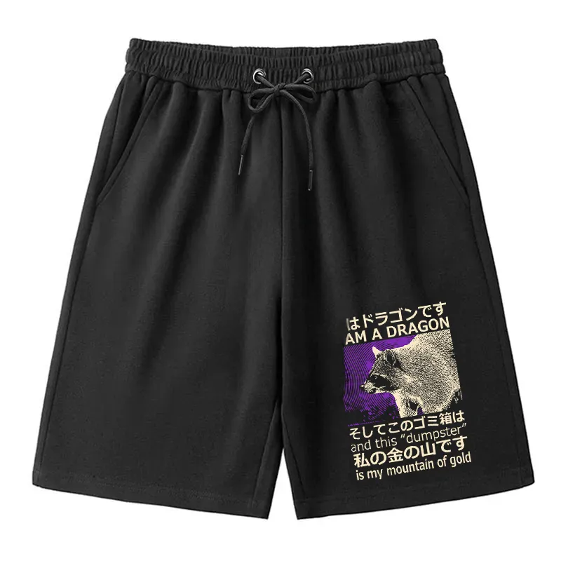 Modecanvas I Am A Dragon and this "Dumpster" is My Mountain of Gold Classic Shorts