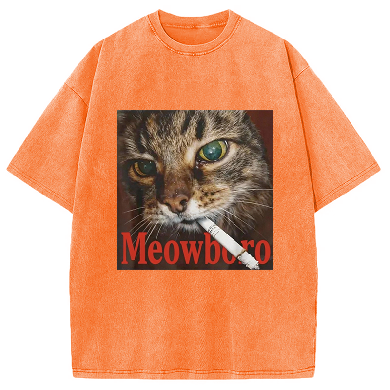 Modecanvas Funny Smoking Cat Meme Washed T-Shirt-modecanvas