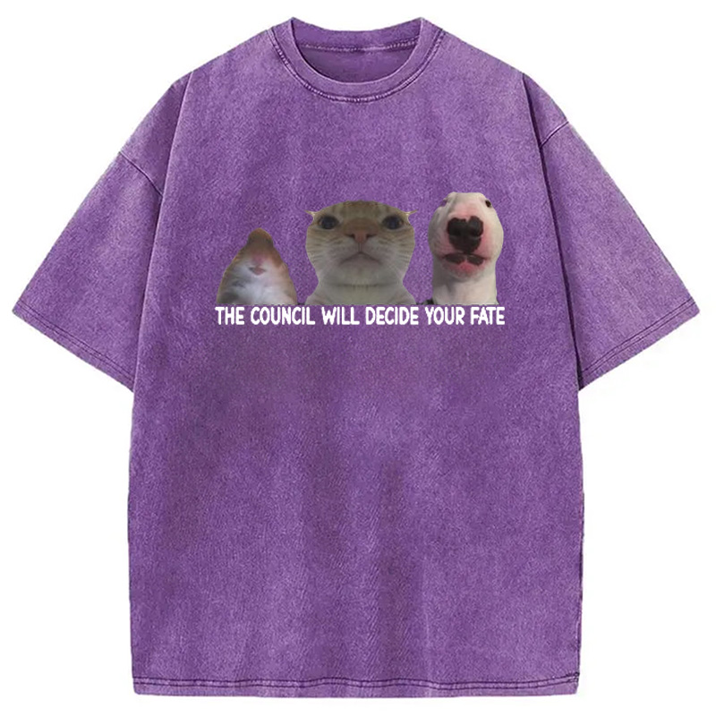 Modecanvas The Council Will Become Your Fate Meme Washed T-Shirt