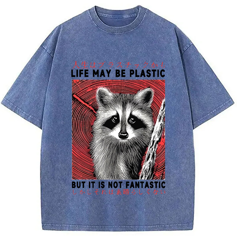 Modecanvas Raccoon Vintage Japanese Washed T-Shirt