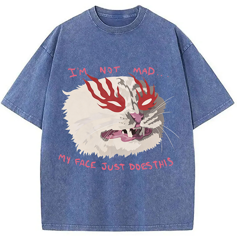 Modecanvas I'm Not Mad DTG Printing Washed T-Shirt