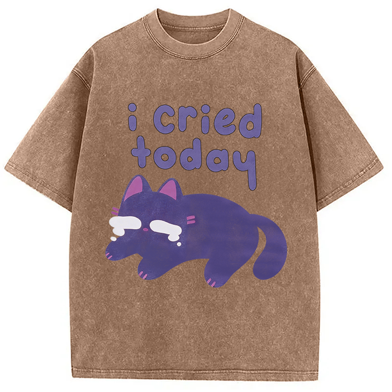 Modecanvas I Cried Today Cat DTG Printing Washed T-Shirt