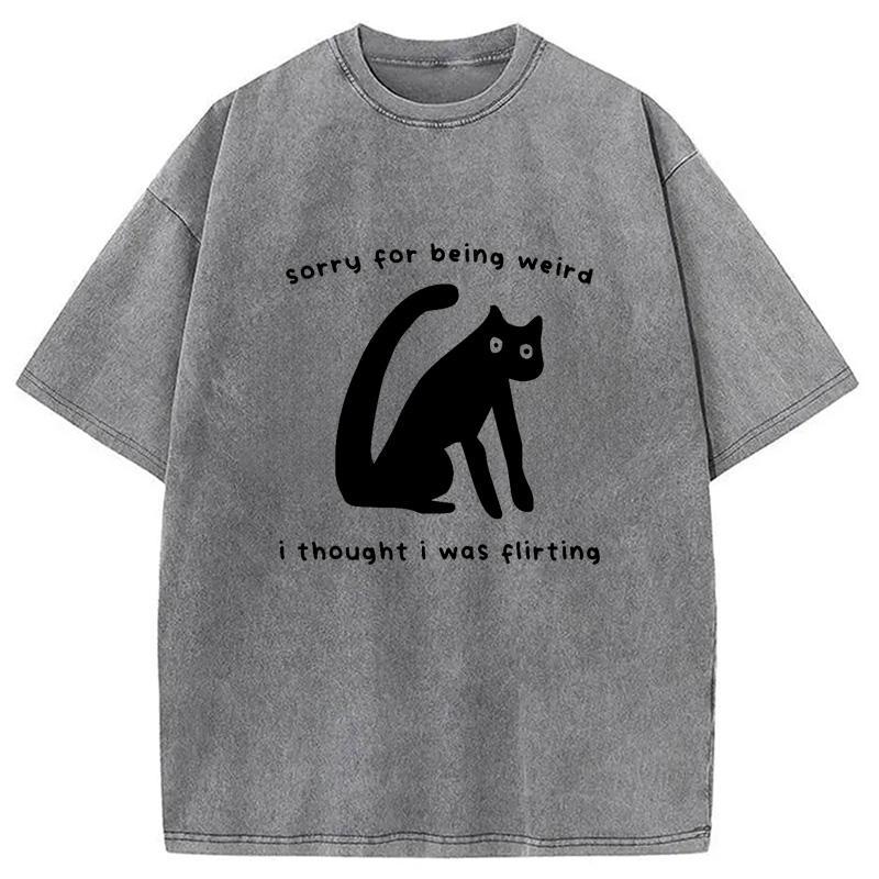 Modecanvas Sorry For Being Weird Washed T-Shirt