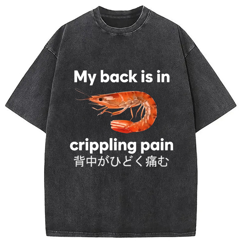 Modecanvas My Back Is in Crippling Pain Washed T-Shirt-modecanvas