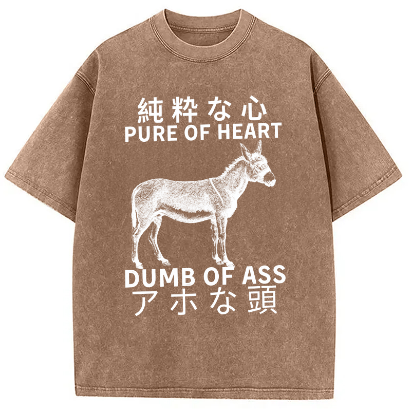 Modecanvas Donkey Pure of Heart Dumb of Ass Washed T-Shirt-modecanvas