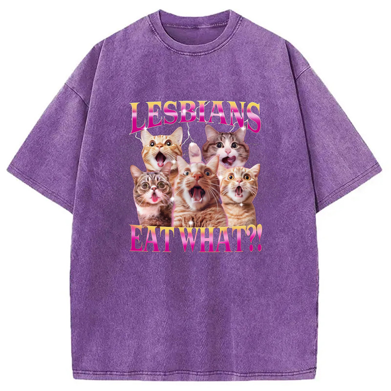 Modecanvas Funny Lesbian Cat Washed T-Shirt