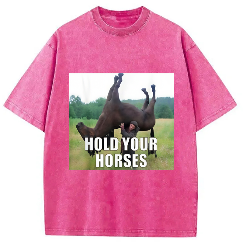 Modecanvas Hold Your Horses Funny Meme Washed T-Shirt