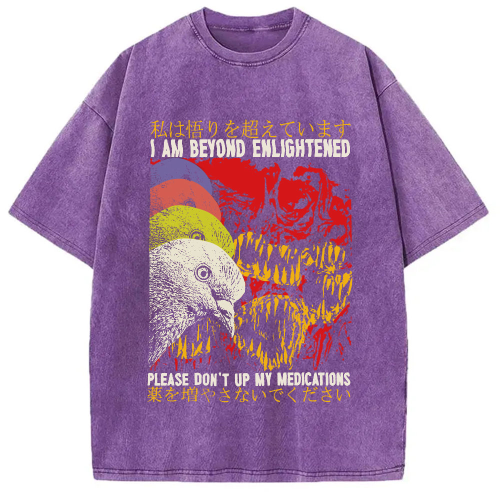 Modecanvas Beyond Enlightened Vintage Pigeon Washed T-Shirt