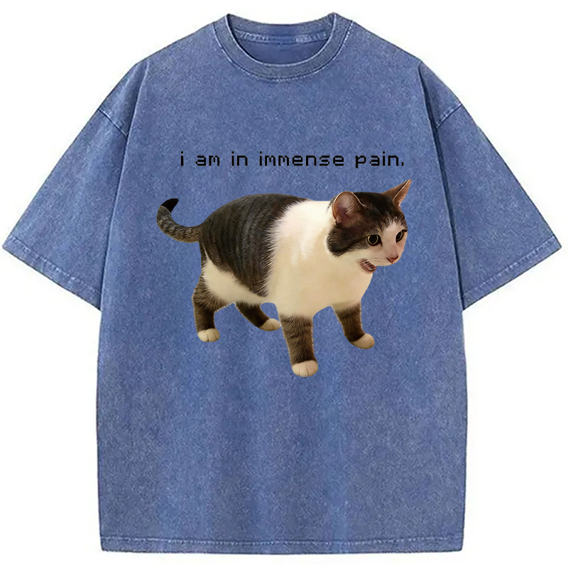 Modecanvas Screaming Cat Immense Pain DTG Printing Washed T-Shirt