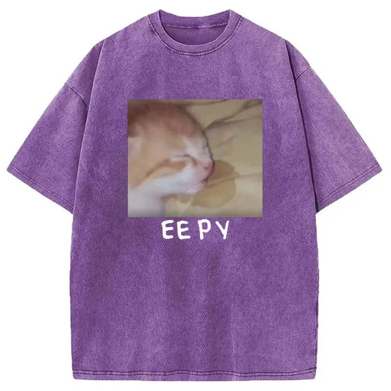 Modecanvas Eepy Kitty Meme Washed T-Shirt