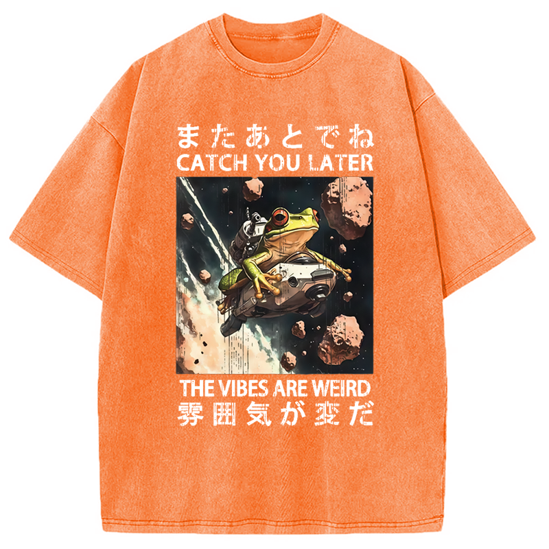 Modecanvas Frog Astronaut Washed T-Shirt