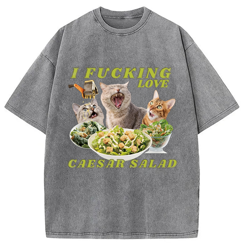 Modecanvas I Fucking Love Caesar Salad Cat Meme DTG Printing Washed T-Shirt