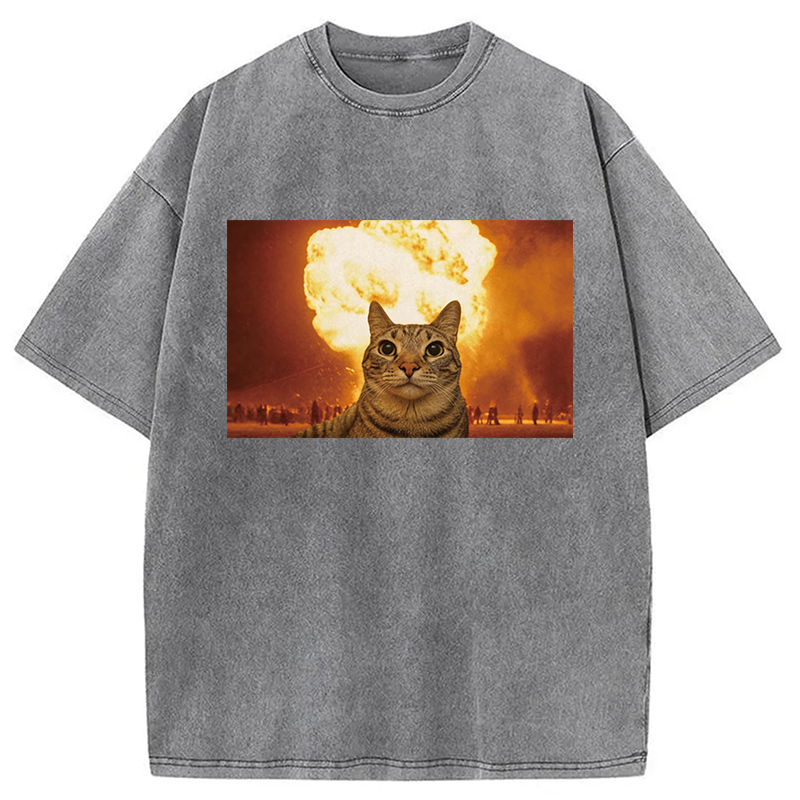 Modecanvas Cat Explosion Brain Rot DTG Printing Washed T-Shirt