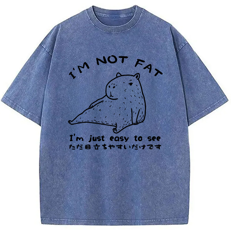 Modecanvas Capybara Fat Just Easy to See Washed T-Shirt