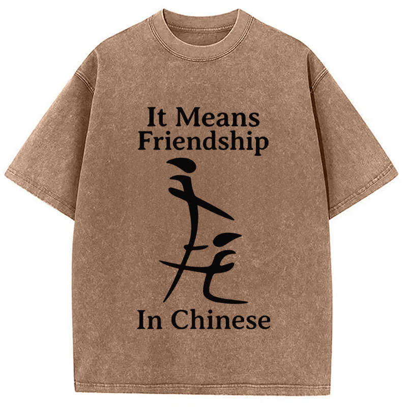 Modecanvas Funny Inappropriate Meme DTG Printing Washed T-Shirt