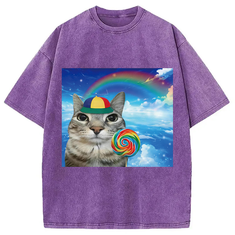 Modecanvas Wholesome Rainbow Cat DTG Printing Washed T-Shirt