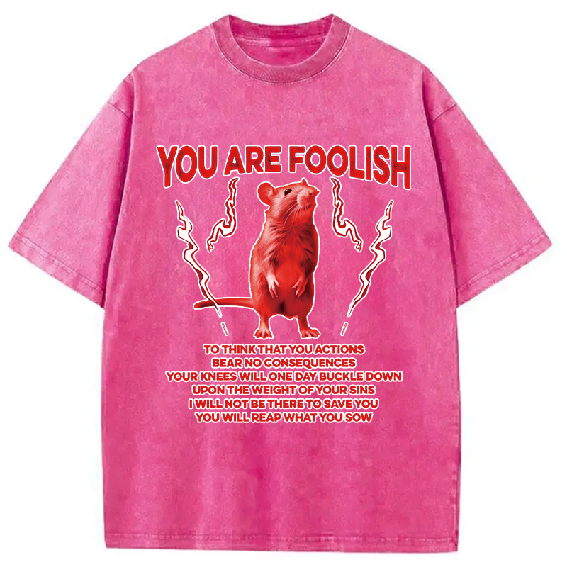 Modecanvas You Are Foolish Rat DTG Printing Washed T-Shirt